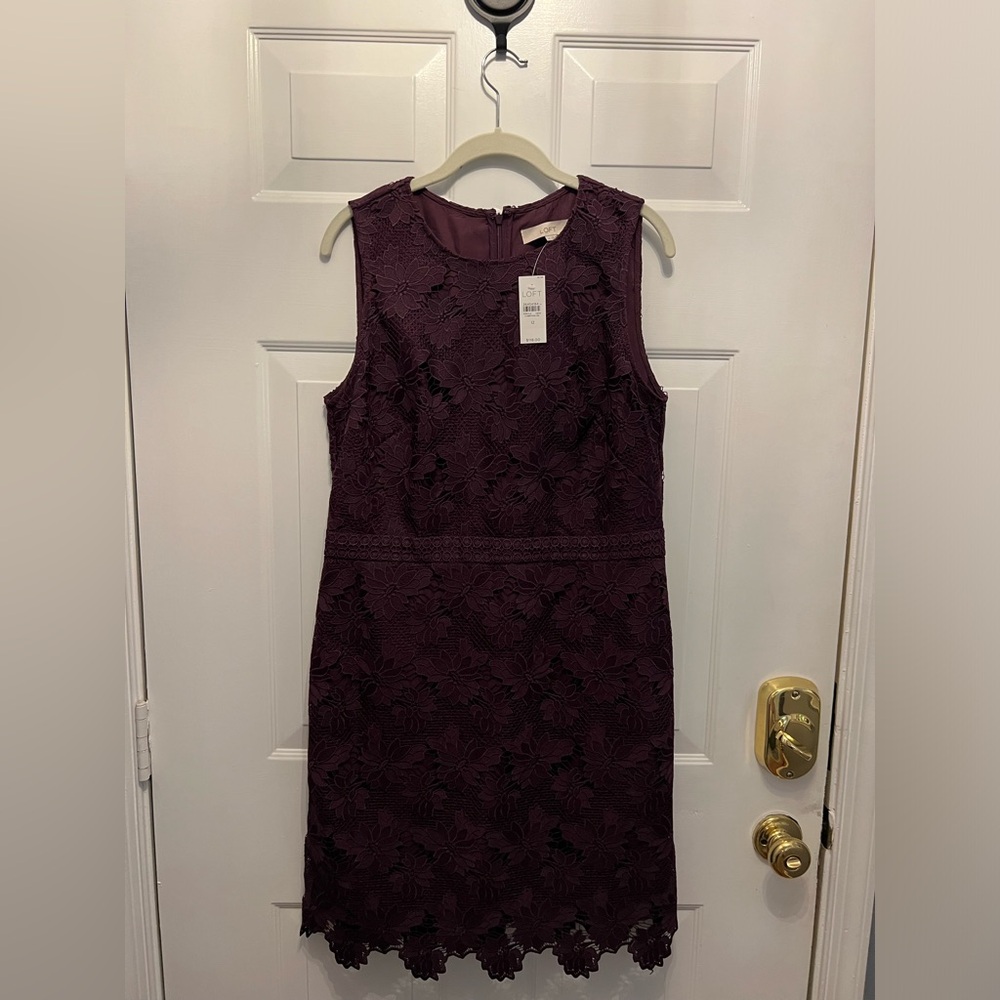 Loft sleeveless lace shift dress. Fully lined. NWTO